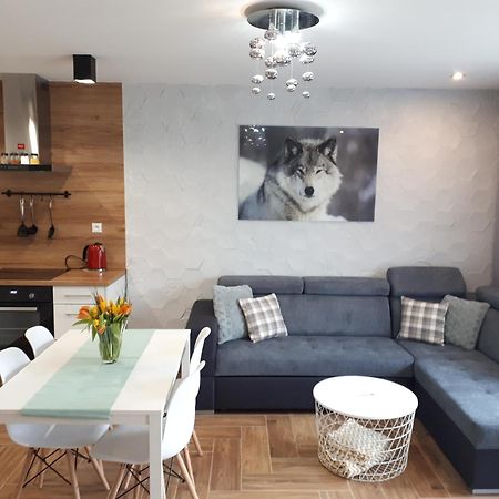 Apartamenty Pod Dzikowcem Boguszow Gorce Bagian luar foto