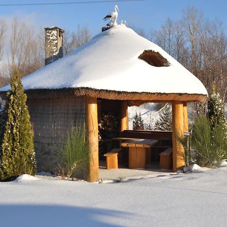 Apartamenty Pod Dzikowcem Boguszow Gorce Bagian luar foto