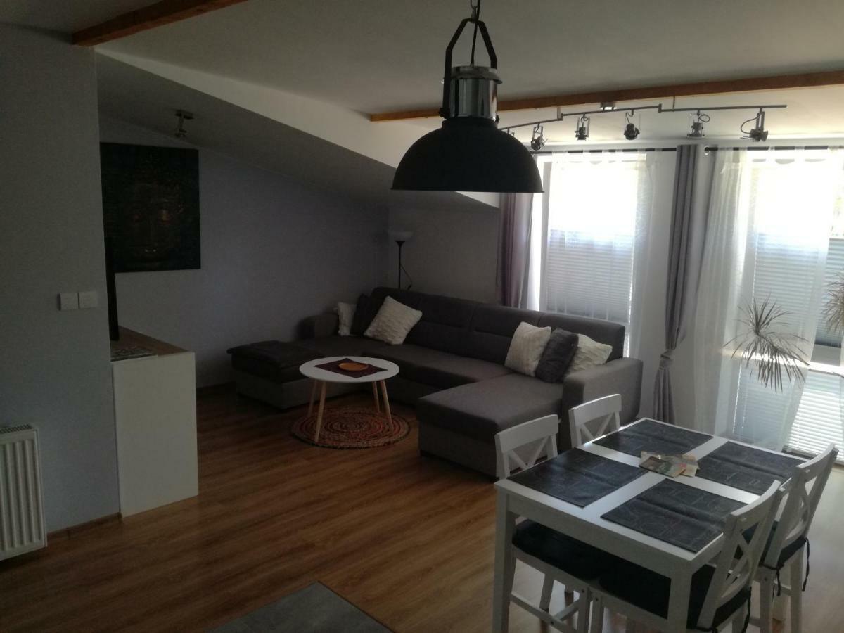 Apartamenty Pod Dzikowcem Boguszow Gorce Bagian luar foto